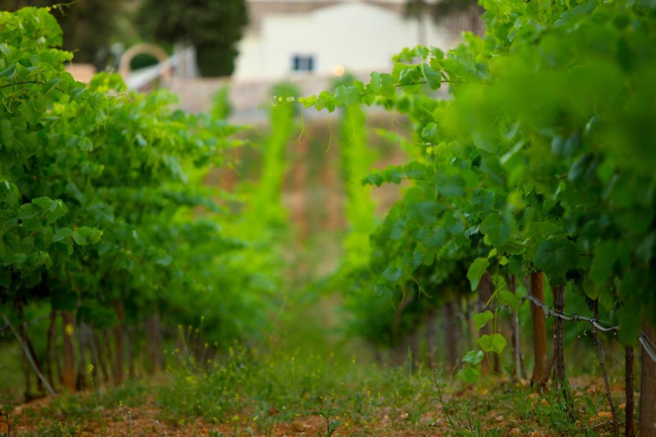 Quinta Dos Vales Wine Estate ξενώνας Estômbar Εξωτερικό φωτογραφία